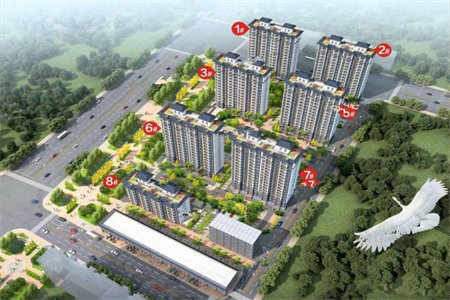 如何低成本打造小花园